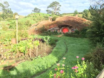 79F8E121-307E-4BA7-BBFC-90F0CEDE6B24.jpeg 79F8E121-307E-4BA7-BBFC-90F0CEDE6B24.jpeg