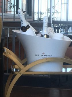 371A7308-2282-402E-BE89-AC038F010056.jpeg 371A7308-2282-402E-BE89-AC038F010056.jpeg