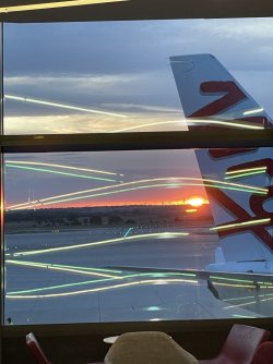 3D9D3817-065F-4E56-89E4-3104E1881872.jpeg 3D9D3817-065F-4E56-89E4-3104E1881872.jpeg