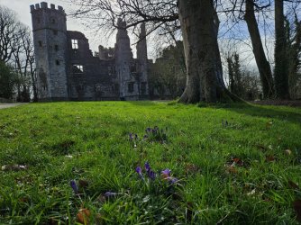 2023-03-14 10.44.08.jpg 2023-03-14 10.44.08.jpg