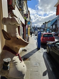 2023-03-14 11.41.39.jpg 2023-03-14 11.41.39.jpg