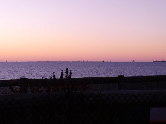 picnicdogbeach4.JPG picnicdogbeach4.JPG