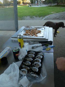 Picnicdogbeach.JPG Picnicdogbeach.JPG