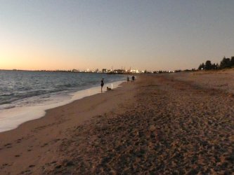 Picnicdogbeach5.jpg Picnicdogbeach5.jpg