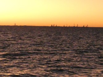 picnicdogbweach5.jpg picnicdogbweach5.jpg