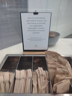 IMG_20230325_110530563.jpg IMG_20230325_110530563.jpg