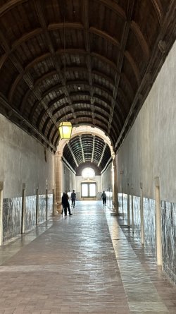 DF7951FE-504C-41F6-B2B8-5C33220A549E.jpeg DF7951FE-504C-41F6-B2B8-5C33220A549E.jpeg