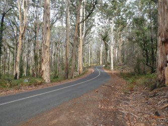 boranup2.JPG boranup2.JPG