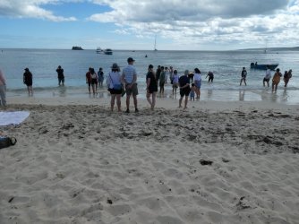 hamelin2.JPG hamelin2.JPG