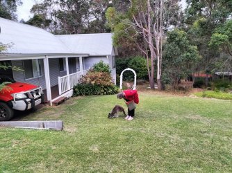 farmstay11.jpg farmstay11.jpg