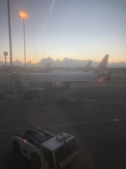 0BB85C53-D70E-411D-8425-85F80E9EAB61.jpeg 0BB85C53-D70E-411D-8425-85F80E9EAB61.jpeg