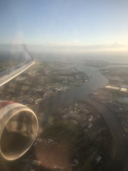 CE74370F-C49E-4403-86C2-30F7E73020E9.jpeg CE74370F-C49E-4403-86C2-30F7E73020E9.jpeg