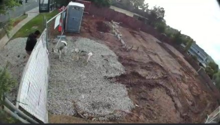 Screenshot_20230406_081534_Ring.jpg Screenshot_20230406_081534_Ring.jpg