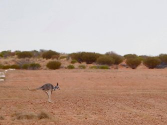 13E35489-84CA-40B0-8FB1-32A90E26680B.jpeg 13E35489-84CA-40B0-8FB1-32A90E26680B.jpeg