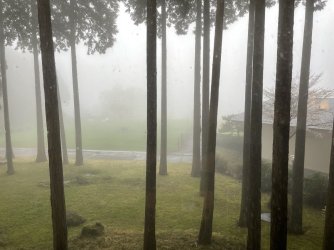 B2FF1AAB-00EB-47C9-A477-993FA595A6D2.jpeg B2FF1AAB-00EB-47C9-A477-993FA595A6D2.jpeg