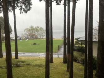 1A385849-1736-4D0C-8EE1-563C9E88BC46.jpeg 1A385849-1736-4D0C-8EE1-563C9E88BC46.jpeg