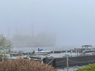 54CA6191-4A41-4502-B24C-508627635055.jpeg 54CA6191-4A41-4502-B24C-508627635055.jpeg