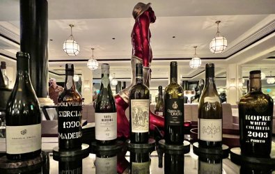 E8BC3219-201B-4BD6-83D2-78D5F9EC8477.jpeg E8BC3219-201B-4BD6-83D2-78D5F9EC8477.jpeg