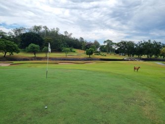 20230407_115358.jpg 20230407_115358.jpg