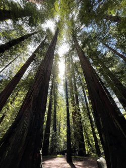 3C20AF42-3342-42E5-B3AC-036E3D08B1FC.jpeg 3C20AF42-3342-42E5-B3AC-036E3D08B1FC.jpeg