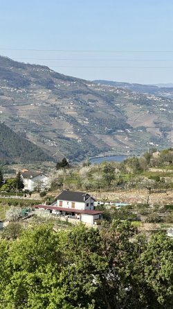 F347FE0C-D964-439C-986F-7B74ADA420C3.jpeg F347FE0C-D964-439C-986F-7B74ADA420C3.jpeg