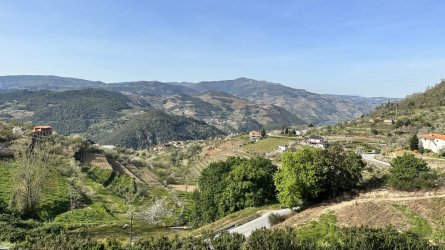 6477A276-D5E8-480B-8C0A-723789917454.jpeg 6477A276-D5E8-480B-8C0A-723789917454.jpeg