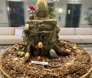 AF06F8CF-7F36-40E9-8883-99EA4281F835.jpeg AF06F8CF-7F36-40E9-8883-99EA4281F835.jpeg