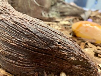 3BE012A4-3875-4D73-8F0B-0DAAE631E1DC.jpeg 3BE012A4-3875-4D73-8F0B-0DAAE631E1DC.jpeg