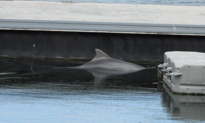 15428BBF-4FCD-4454-9609-522F6AD623C2.jpeg 15428BBF-4FCD-4454-9609-522F6AD623C2.jpeg