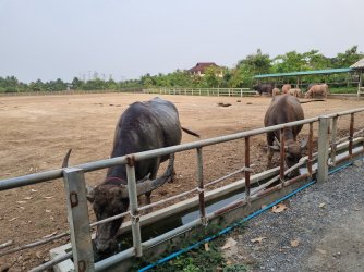 20230408_165339.jpg 20230408_165339.jpg