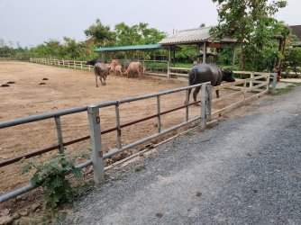 20230408_165405.jpg 20230408_165405.jpg