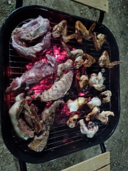 20230408_203801.jpg 20230408_203801.jpg