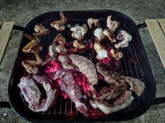 20230408_203847.jpg 20230408_203847.jpg