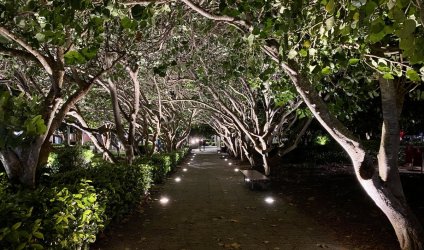 D14B3A88-C7E0-42D2-84C0-E2FD8D0B5B44.jpeg D14B3A88-C7E0-42D2-84C0-E2FD8D0B5B44.jpeg