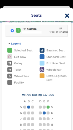 MH 737 Y old.PNG MH 737 Y old.PNG