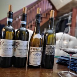 20230409_114012.jpg 20230409_114012.jpg