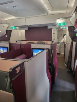 20230313_082828.jpg 20230313_082828.jpg