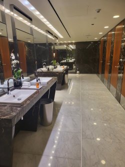 20230313_060354.jpg 20230313_060354.jpg