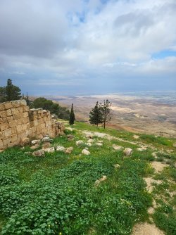 20230315_121522.jpg 20230315_121522.jpg