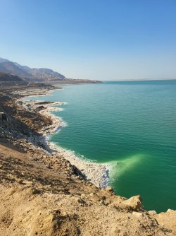 20230316_094154.jpg 20230316_094154.jpg