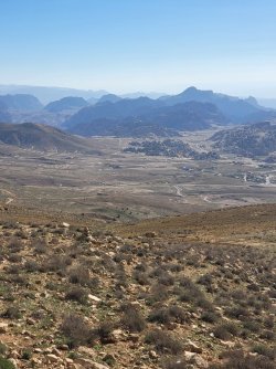 20230316_162627.jpg 20230316_162627.jpg