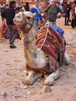 20230317_093533.jpg 20230317_093533.jpg