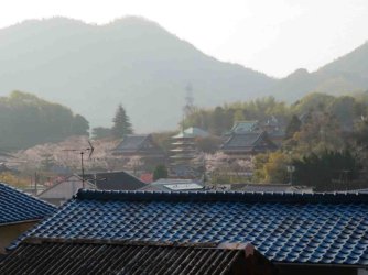 jpeg-optimizer_IMG_0133.JPG jpeg-optimizer_IMG_0133.JPG