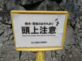 jpeg-optimizer_IMG_0063(1).JPG jpeg-optimizer_IMG_0063(1).JPG