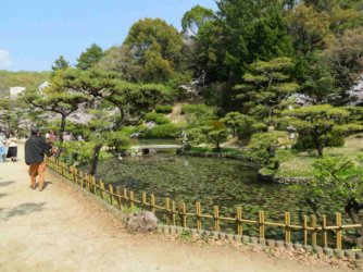 jpeg-optimizer_IMG_0221(1).JPG jpeg-optimizer_IMG_0221(1).JPG