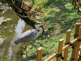 jpeg-optimizer_IMG_0227.JPG jpeg-optimizer_IMG_0227.JPG