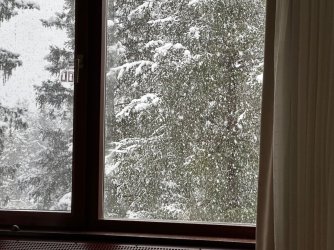 alyeska - 62.jpeg alyeska - 62.jpeg