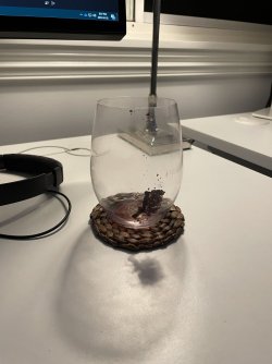 IMG_1117.JPG IMG_1117.JPG