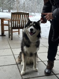 alyeska - 38.jpeg alyeska - 38.jpeg