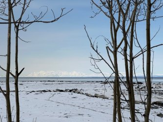 alyeska - 76.jpeg alyeska - 76.jpeg